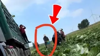 河北甲醛白菜事件，中國三部門要求從嚴從快處置。（圖／翻攝自微博）