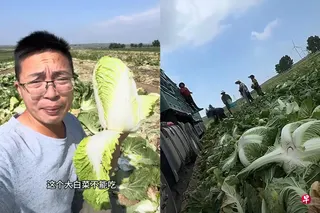 中国博主“渔猎齐哥”（左图）上周六（8月22日）发布一段视频，曝光河北康保县大白菜收购商使用甲醛溶液保鲜。 （互联网）