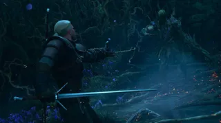 witcher 3 songs of the past