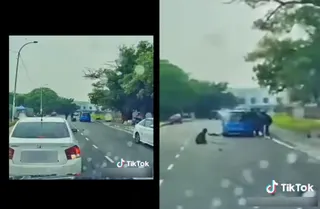 At least two more men are seen getting out of the blue Alza and moving towards the second victim before the recording ends. - PIC CREDIT: SOCIAL MEDIA