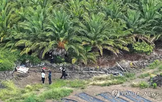 濟州短短3天內發現4具疑似與失蹤案件有關的遺體。（圖／翻攝自연합뉴스）