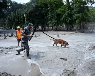 A uniformed member of the security forces leads a dog through a flooded out area in Nepal.
