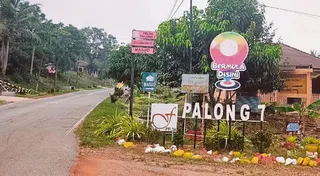 Felda Palong 7 in Jempol, Negri Sembilan. - FILEPIC
