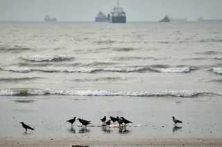 Commercial vessels lie anchored in the Strait of Hormuz off Bandar Abbas, Iran,  on Wednesday. Photo: AP