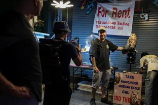 A US sailor poses for a picture with an owl on Walking Street in Pattaya, Thailand, on Thursday. Photo: Reuters