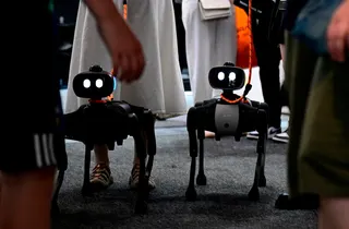People walk with robot dogs during the opening of the 2026 IFA international trade show for consumer electronics and home appliances in Berlin September 4, 2026. — AFP pic