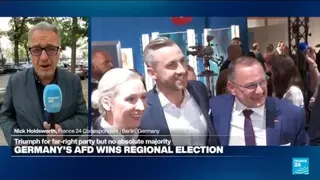 Germany: 'Hard to say' if AfD win the result of protest vote
